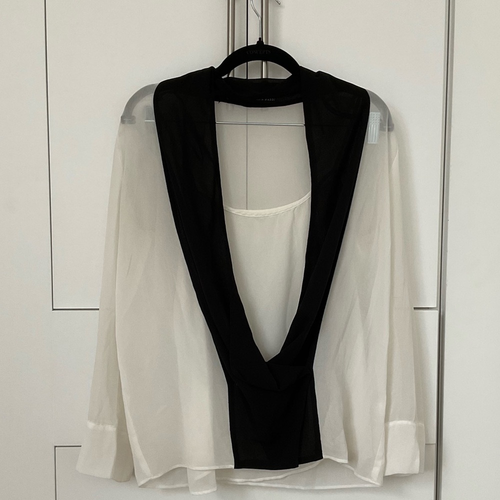 Zara Basic Sheer Blouse